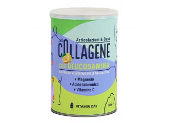 Vitamin day collagene articolazioni 390 g