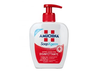 Amuchina xgerm sapone disinfettante 250 ml