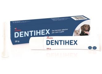 Dentihex gel dentale adesivo per cani e gatti 20 g