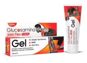 Glucosamina joint flex gel forte 125 ml