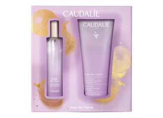 Ange del vignes cofanetto natale 2024