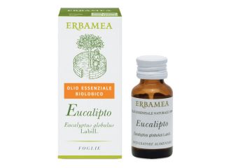 Eucalipto olio essenziale bio 10 ml