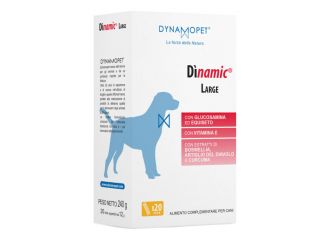 Dinamic large 20 stick da 12 g