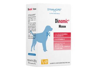 Dinamic medium 20 stick da 10 g