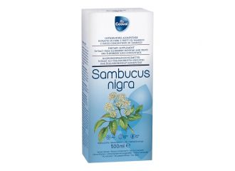 Sambucus nigra 500 ml senza glutine e lattosio