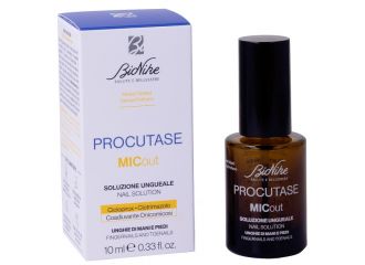Procutase micout soluzione ungueale 10 ml