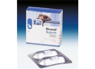 Droncit spoton*4tubetti 0,5ml