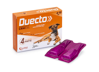 Duecto 4pip.1,1ml 67+600mg