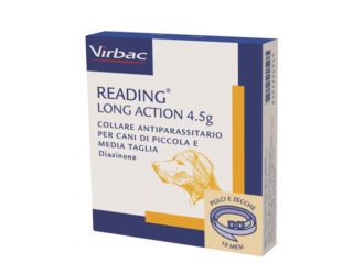 Reading long act.4,5g cane