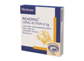 Reading long act.42g  cane